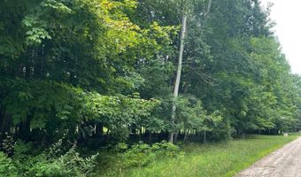 Beech Forest Ct, Addison Twp., MI 48367