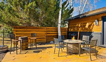 24 Cherry Ln, Basalt, CO 81621