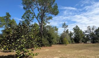 493 Mcduff Dr, Alford, FL 32420