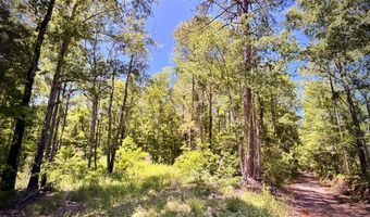 000 William Colvin Rd, Bernice, LA 71222