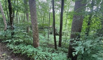 Tbd Clubhouse Drive, Banner Elk, NC 28604