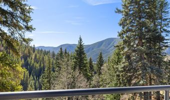 1340 Mclaughlin Ln, Basalt, CO 81621
