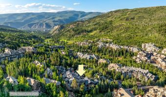 46 Red Spruce Ln 3, Beaver Creek, CO 81620