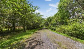 2280 Solitude Rd, Albertville, AL 35950