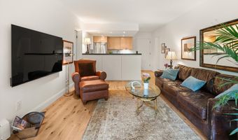412 Vine St, Aspen, CO 81611