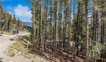 158 N ASPEN St, Alma, CO 80420