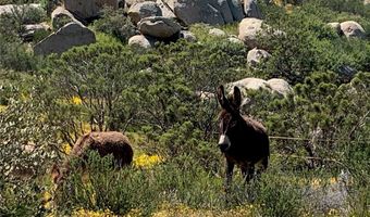 0 Fresz, Aguanga, CA 92536