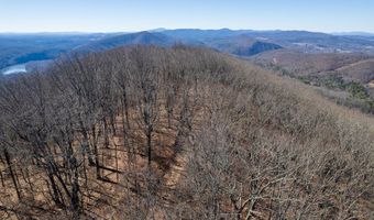 Stoots Mountain Rd. lot 31-A-109, Austinville, VA 24312