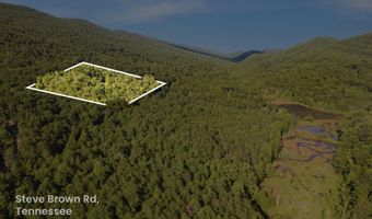 Steve Brown Rd, Bean Station, TN 37708