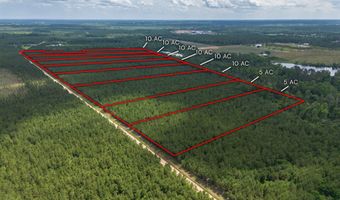 Tract 10 Sanderling, Alma, GA 31510