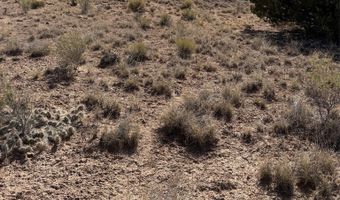PUEBLO Drive, Abiquiu, NM 87510