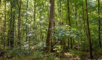 23680 Highway 58, Baskerville, VA 23915