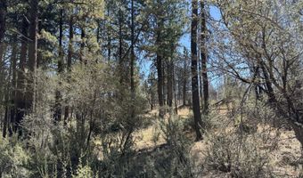 0 Jaguar Ln Lot 3, Bonanza, OR 97623