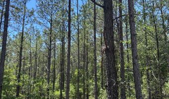 001 West Rd, Bethune, SC 29009