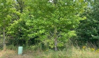 Daniels Lane lot 1-A, Bennettsville, SC 29512