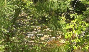 2633 Georgia 120 485.53 Acres, Tallapoosa, GA 30176