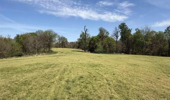 378 County Road 1219, Arlington, KY 42021
