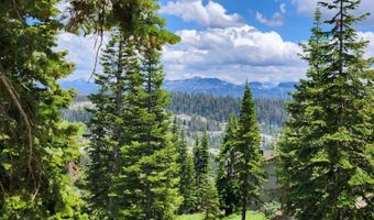 332 Snowshoe Rd, Bear Valley, CA 95223