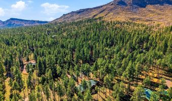 3 CR 2190, Alpine, AZ 85920