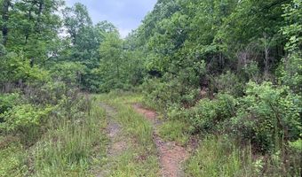 Tdb Cove Creek Rd, Bastian, VA 24314