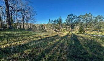 741 Poplar Springs Trl, Ashville, AL 35953