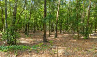 6679 NW 27th Pl, Bell, FL 32619