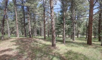 Lot 1311 San Pedro Dr, Angel Fire, NM 87710