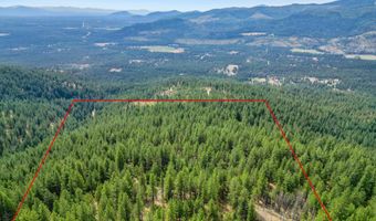 NNA USFS 2550 40 acres, Blanchard, ID 83804