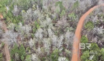 21000 Block Highway 21, Beatrice, AL 36425