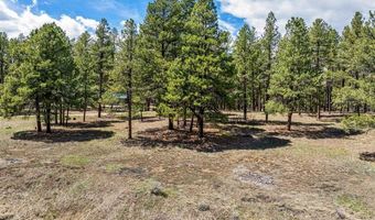 841 Beaver Creek Dr, Bayfield, CO 81122