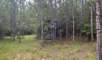 259 Forest Lake Rd, Beaumont, MS 39423