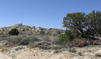 Xx CEMETERY Road, Bloomfield, NM 87413