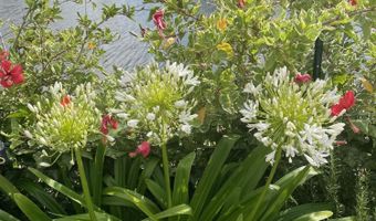 233 Rio Vista Cir, Atlantis, FL 33462