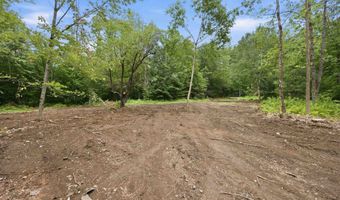 Dane Road lot 29, Center Harbor, NH 03226