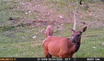10643 CR 501, Bayfield, CO 81122