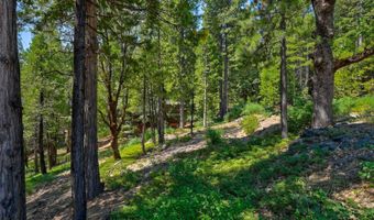 2690 Cheyenne Way, Arnold, CA 95223