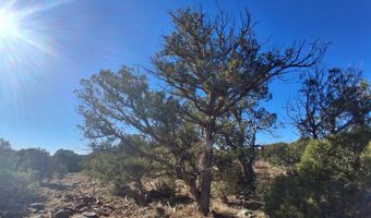 N8716, Concho, AZ 85924