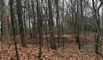 67 Old Wire Rd, Atkins, AR 72823