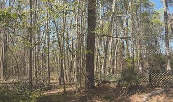 Freeman Street lot 5, Brunson, SC 29911