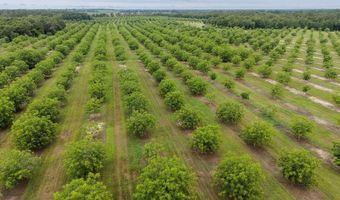9953 Gravel Hl, Baconton, GA 31716