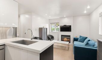 805 E Cooper Ave 2, Aspen, CO 81611
