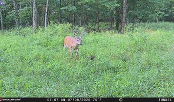 1271 A Tunnel Ridge Rd, Argillite, KY 41121