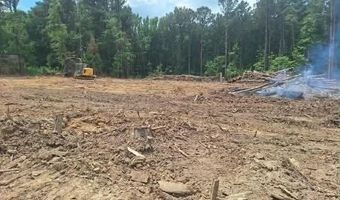 709 Old Pinola Braxton Rd, Braxton, MS 39044