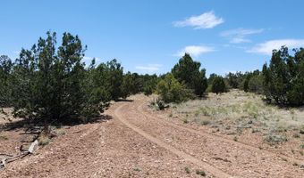 Ranch And Cattle lot 13, Ash Fork, AZ 86320