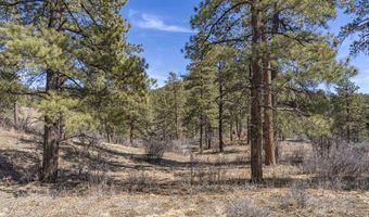 TBD Lot 5 Beaver Creek Ranch Drive, Bayfield, CO 81122