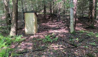 Cr-38, Alma, NY 14708