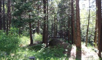 2159 Sierra Pkwy, Arnold, CA 95223