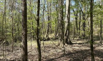 SW Auburn Drive, Bogue Chitto, MS 39629