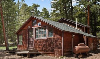 251 Haugen Slide Rd, Allenspark, CO 80510