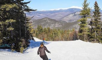21 A Ammonoosuc Dr, Bartlett, NH 03812